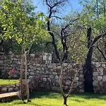 Kale - Adult Only + 15 Kaş
