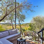 Lodge Kale - Adult Only + 15 *