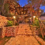 Lodge Kale - Adult Only + 15 *