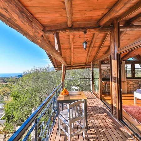 Lodge Kale - Adult Only + 15