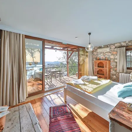 Kale - Adult Only + 15