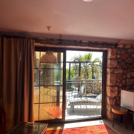 Kale - Adult Only + 15 *