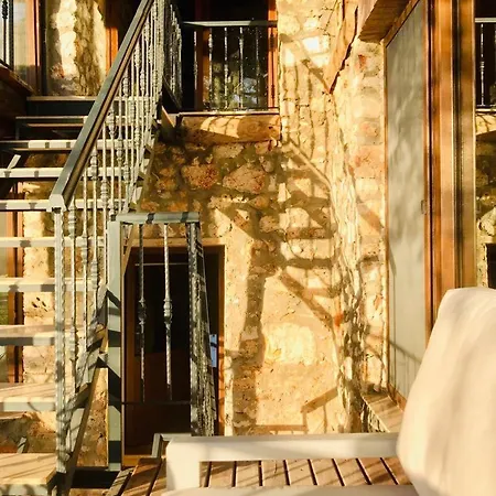 Lodge Kale - Adult Only + 15 *