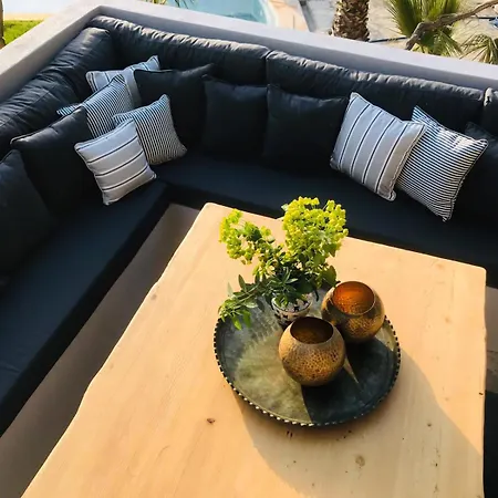 Lodge Kale - Adult Only + 15 *