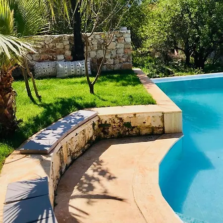 Kale - Adult Only + 15