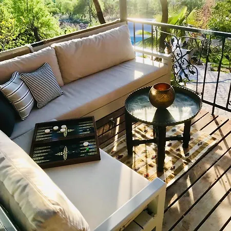 Lodge Kale - Adult Only + 15 *