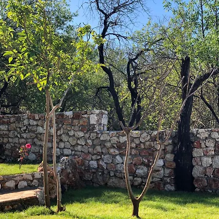 Kale - Adult Only + 15 Kaş