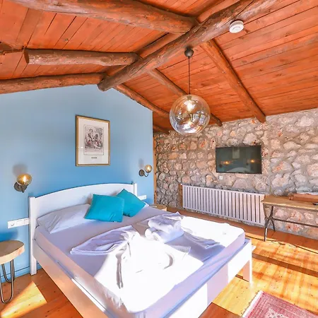 Kale - Adult Only + 15