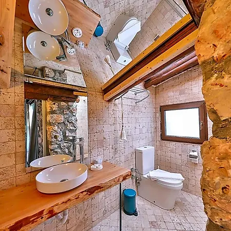 Lodge Kale - Adult Only + 15