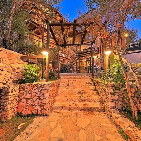 Lodge Kale - Adult Only + 15 *