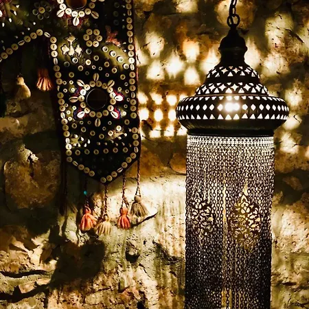 Kale - Adult Only + 15 *