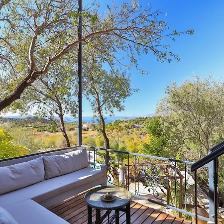 Lodge Kale - Adult Only + 15 *