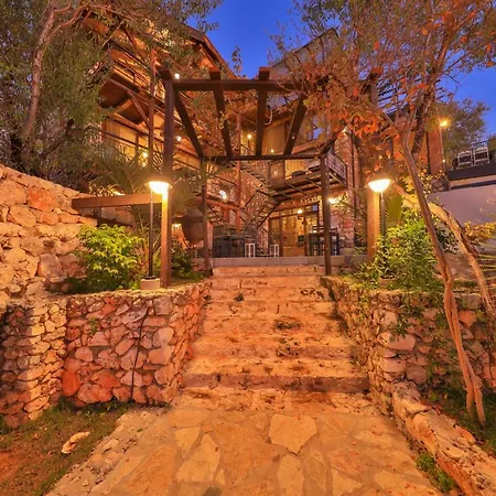 Lodge Kale - Adult Only + 15 *