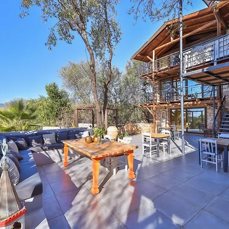 Kale - Adult Only + 15 * Kaş