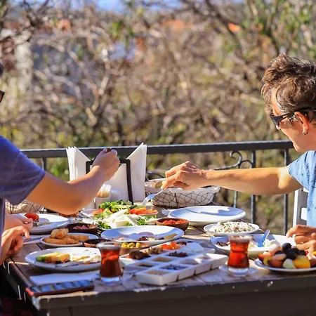 Kale - Adult Only + 15 *