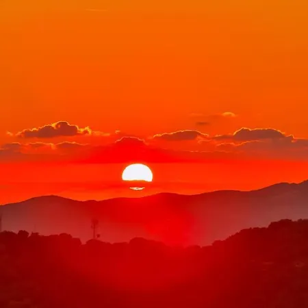 Lodge Kale - Adult Only + 15 *