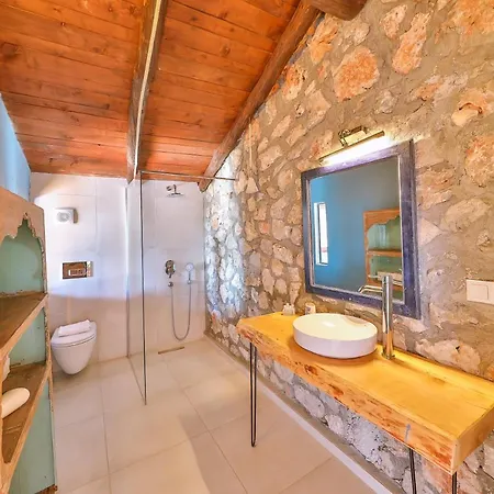 Kale - Adult Only + 15 Kaș