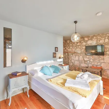 Kale - Adult Only + 15 *