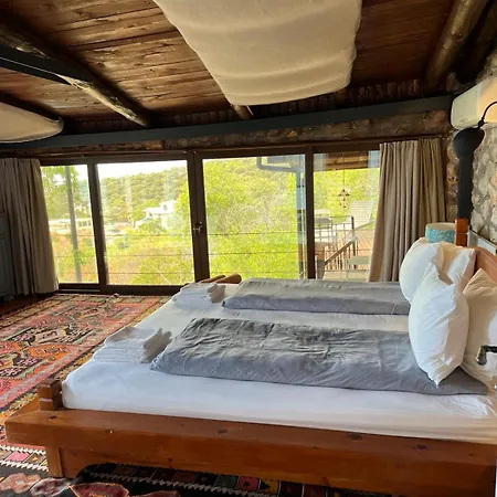 Kale - Adult Only + 15 Kaș