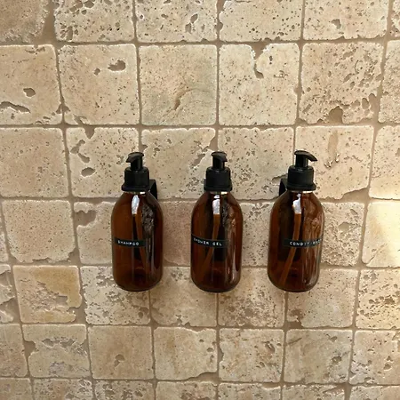 Kale - Adult Only + 15