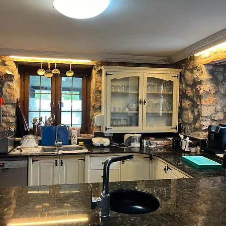 Kale - Adult Only + 15 Kaș