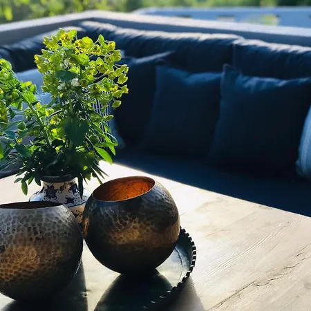 Kale - Adult Only + 15 Kaș