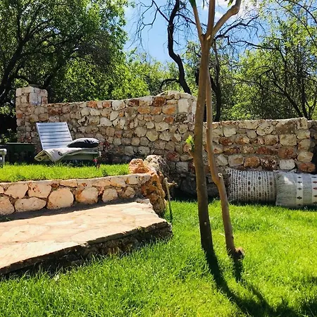 Kale - Adult Only + 15