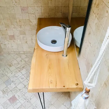 Kale - Adult Only + 15