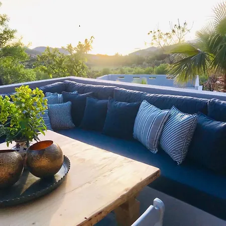 Kale - Adult Only + 15 Kaș