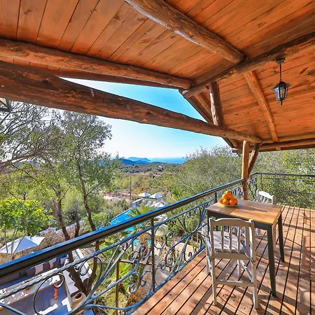 Kale - Adult Only + 15 Kaș