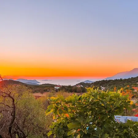 Kale - Adult Only + 15 *