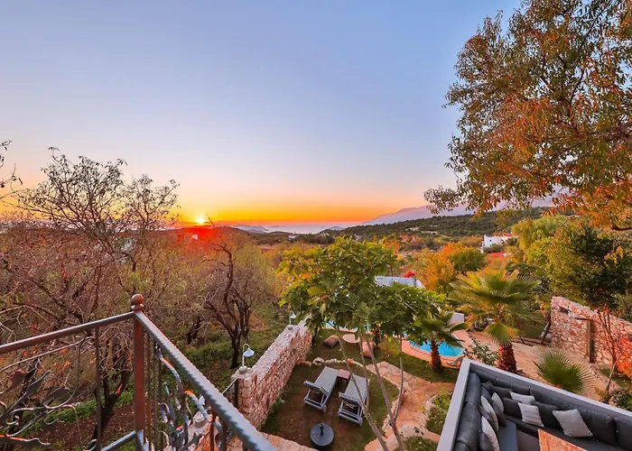 Kale - Adult Only + 15 Chata